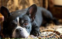 Фотография Буланковой Елены