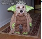 Лєна Маїло фотография #50 (источник - https://vk.com/id105605263)