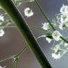Юля Стрілецька фотография #7 (источник - https://vk.com/id106102589)