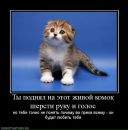 Тарас Васильків фотография #27 (источник - https://vk.com/id32181299)