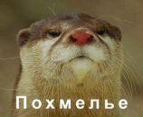 Віталій Стогнієнко фотография #2 (источник - https://vk.com/id7861367)