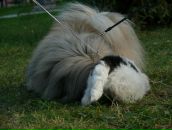 Тетяна Єськова фотография #24 (источник - https://vk.com/id2347817)