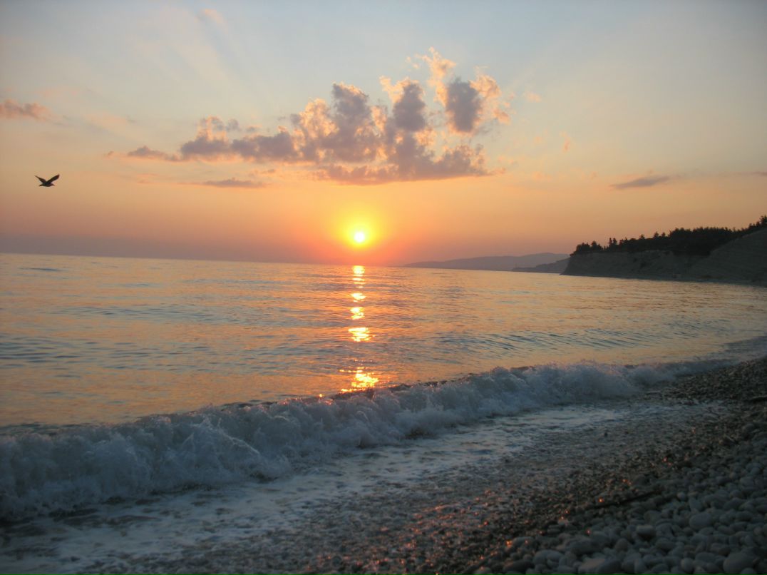 Сергей Табачников фотография #48