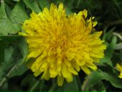 Маряна Сокіл фотография #42 (источник - https://vk.com/id8316949)