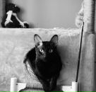 Фотография Бэхман Анастасии