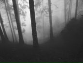 Сева Бугунлей фотография #11 (источник - https://vk.com/id775499)