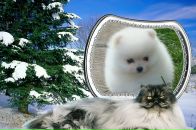 Фотография Лукьяновой Аллы