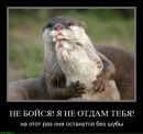 Влад Білецький фотография #25 (источник - https://vk.com/id198257195)