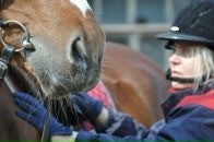 Фотография Стафеевой Жанны