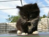 Фотография Lebedeva Марии