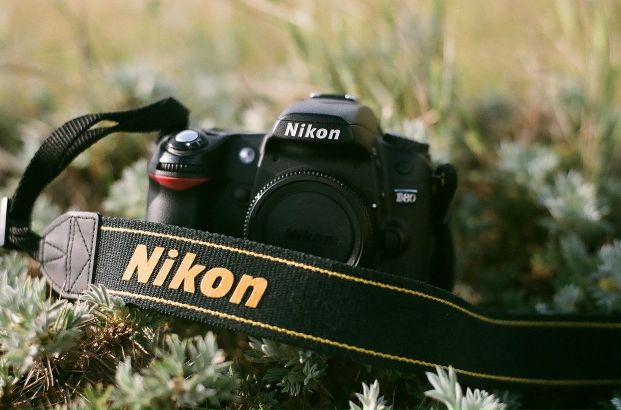 Дмитрий Меречко фотография #43