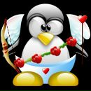 Фотография Шестунина Павла