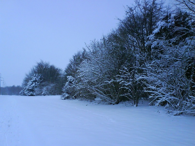 Илья Глков фотография #41