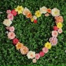 Аліна Соколовська фотография #48 (источник - https://vk.com/id158233772)