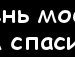 Інна Оліградська фотография #16 (источник - https://vk.com/id139206732)